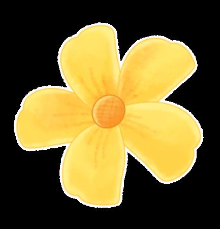 DƬ